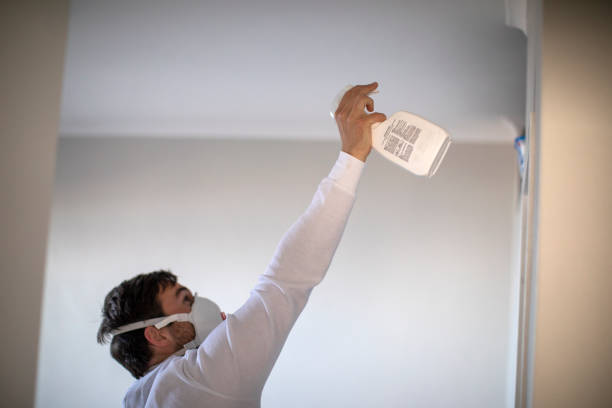 Best Mold Removal Near Me  in Fairbanks, AK