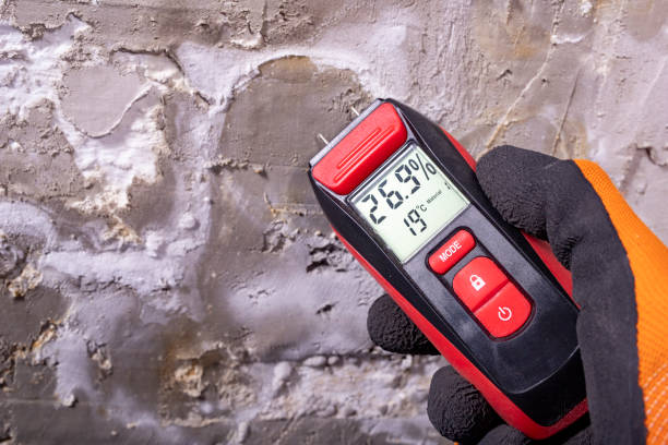 Best Certified Mold Removal  in Fairbanks, AK