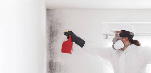 Best Mold Removal Specialists  in Fairbanks, AK